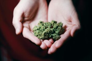 effetti negativi cannabis: reversibili?